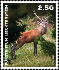 Timbre: Stag Deer (Cervidae)