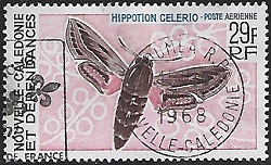 Timbre: Hippotion celerio