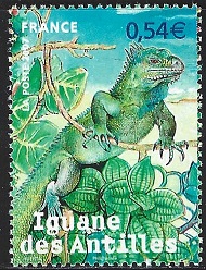 Timbre: Faune en voie de disparition - Iguane des Antilles