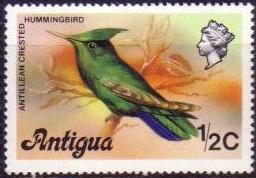 Timbre: Colibri