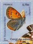 Timbre: Papillon cuivr&eacute; des marais.: