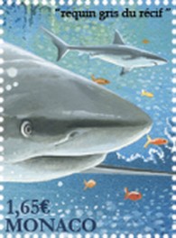 Timbre: Requin  le feuillet