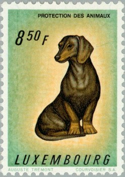 Timbre: Basset