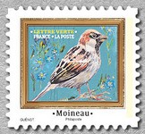 Timbre: Moineau