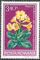 Timbre: Primula auricula