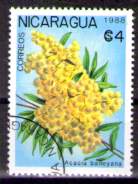 Timbre: Acacia baileyana