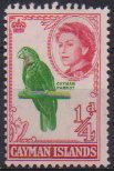 Timbre: Cayman parrot
