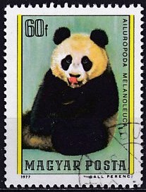 Timbre: Grand Panda