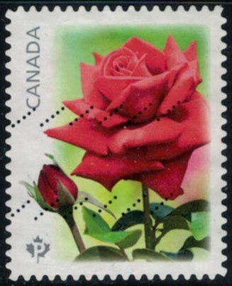 Timbre: Rose rouge Konrad Henkel