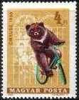 Timbre: Le cirque. Ours cycliste