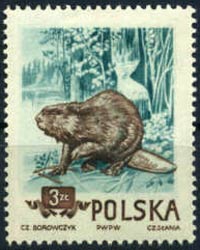Timbre: Animaux des for&ecirc;ts de Pologne. Castor