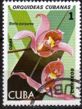 Timbre: Orchid&eacute;e : Bletia purpurea