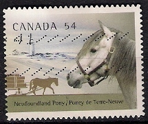 Timbre: Poney de Terre-Neuve