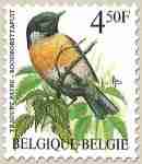Timbre: Traquet patre