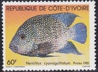 Timbre: Poisson