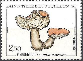 Timbre: Pied de mouton