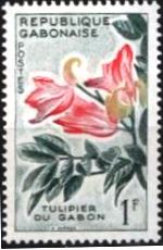 Timbre: Tulipier d'Afrique (spathodeum campanulata)