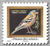 Timbre: Pinson des arbres