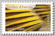 Timbre: Animaux en couleurs  Verdier d'Europe