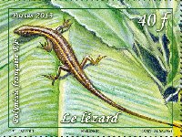 Timbre:  Le lezard
