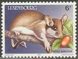 Timbre: Eliomys queinus