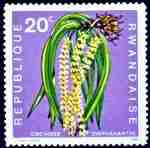 Timbre: Orchidee diaphananthe