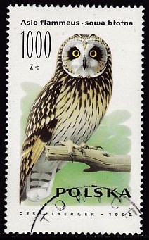 Timbre: Hibou des marais