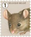 Timbre: Souris grise