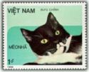 Timbre: Chat domestique