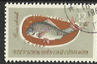 Timbre: Poisson : Cyprinus carpio