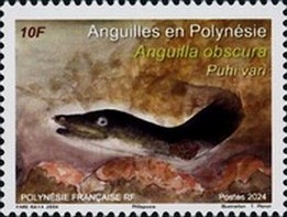 Timbre: Angulles