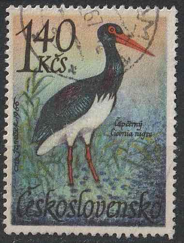 Timbre: Oiseaux aquatiques : Ciconia nigra