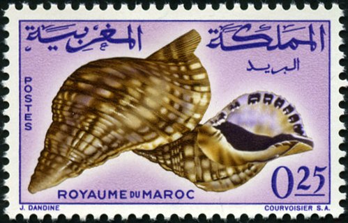 Timbre: Coquillages et crustac&eacute;s - Triton modif&egrave;re