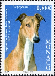 Timbre: Exposition Canine Internationale : Greyhound