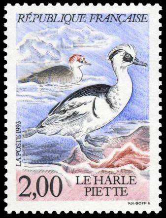 Timbre: Harle Piette :