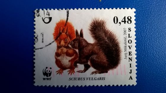 Timbre: Couple d'&eacute;cureuil