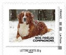Timbre: Nos fid&egrave;les compagnons - Chien