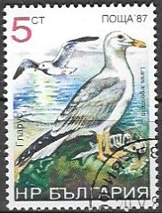 Timbre: Larus argentatus