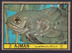 Timbre: Poisson : astronotus 