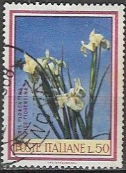 Timbre: Iris florentin