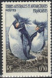 Timbre: Manchots gorfous