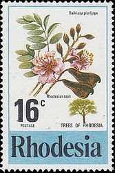 Timbre: Fleur