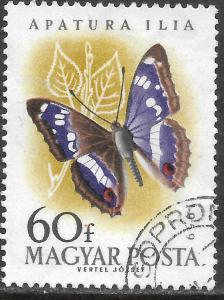 Timbre: Apatura ilia