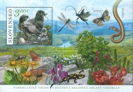 Timbre: Short-Toed Snake Eagle (Circaetus gallicus)