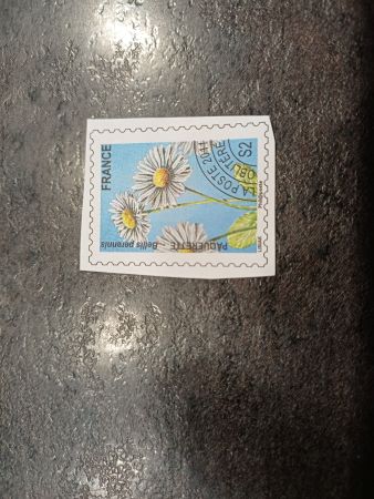 Timbre: Pr&eacute;oblit&eacute;r&eacute; Paquerettes 