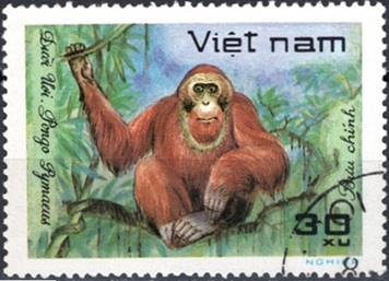 Timbre: Orang-outan de Born&eacute;o