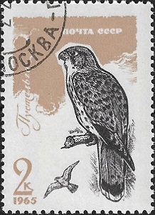 Timbre: Oiseaux de proie. Faucon cr&eacute;cerelle