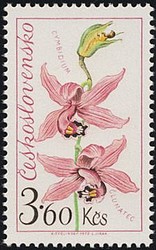 Timbre: &ldquo;Flora&rdquo; exposition florale, Orchid&eacute;e