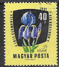 Timbre: Iris