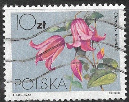 Timbre: Cl&eacute;matites